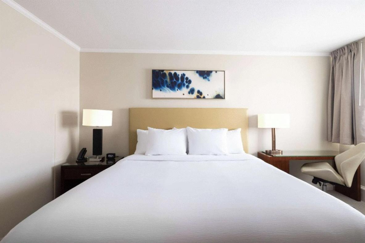 Room, King Bed