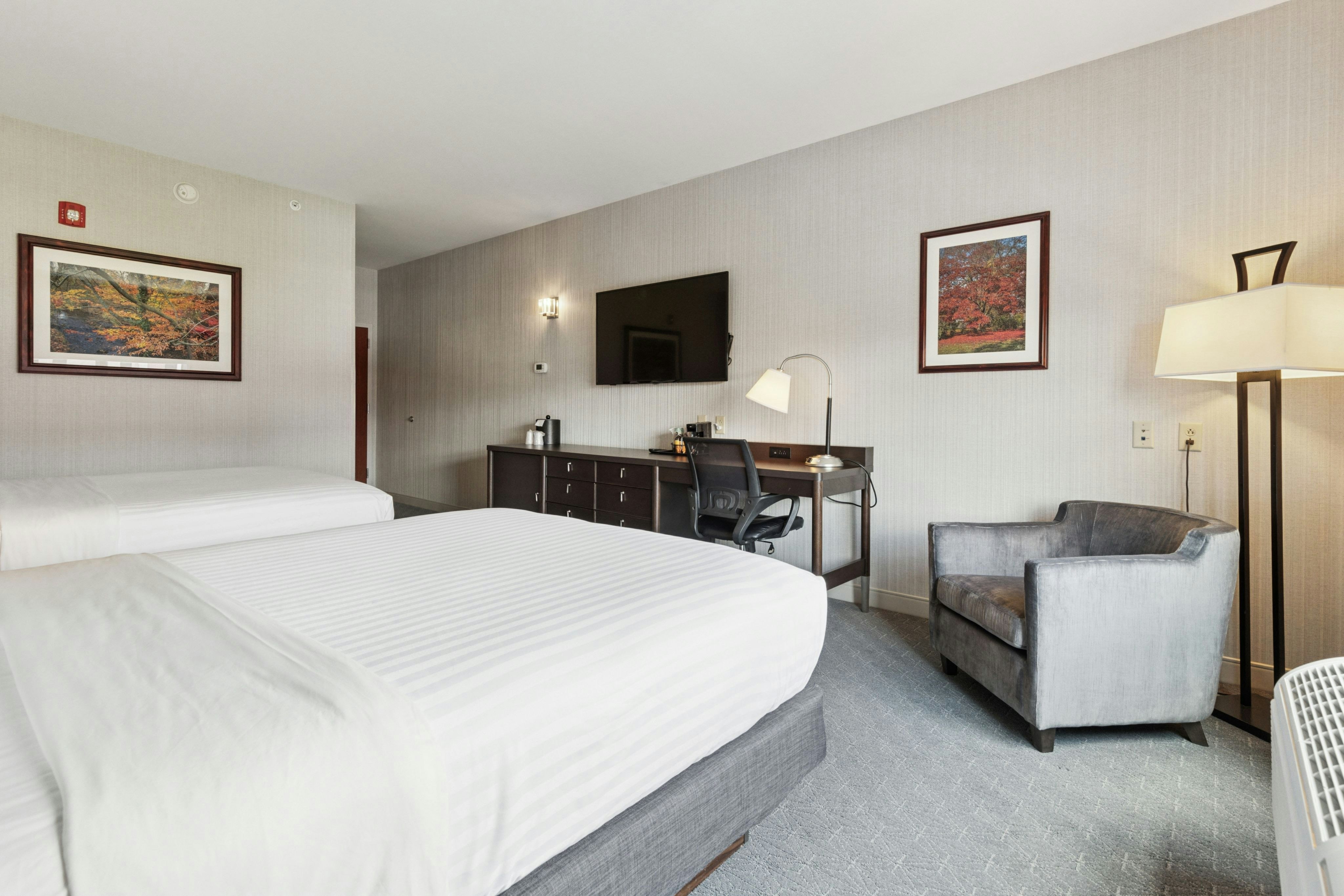Hotel Warner 14/66