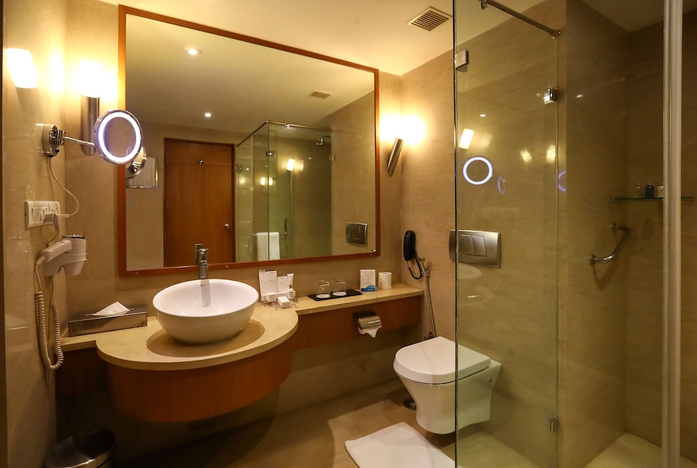 Radisson Blu Hotel Chennai City Centre 44/46