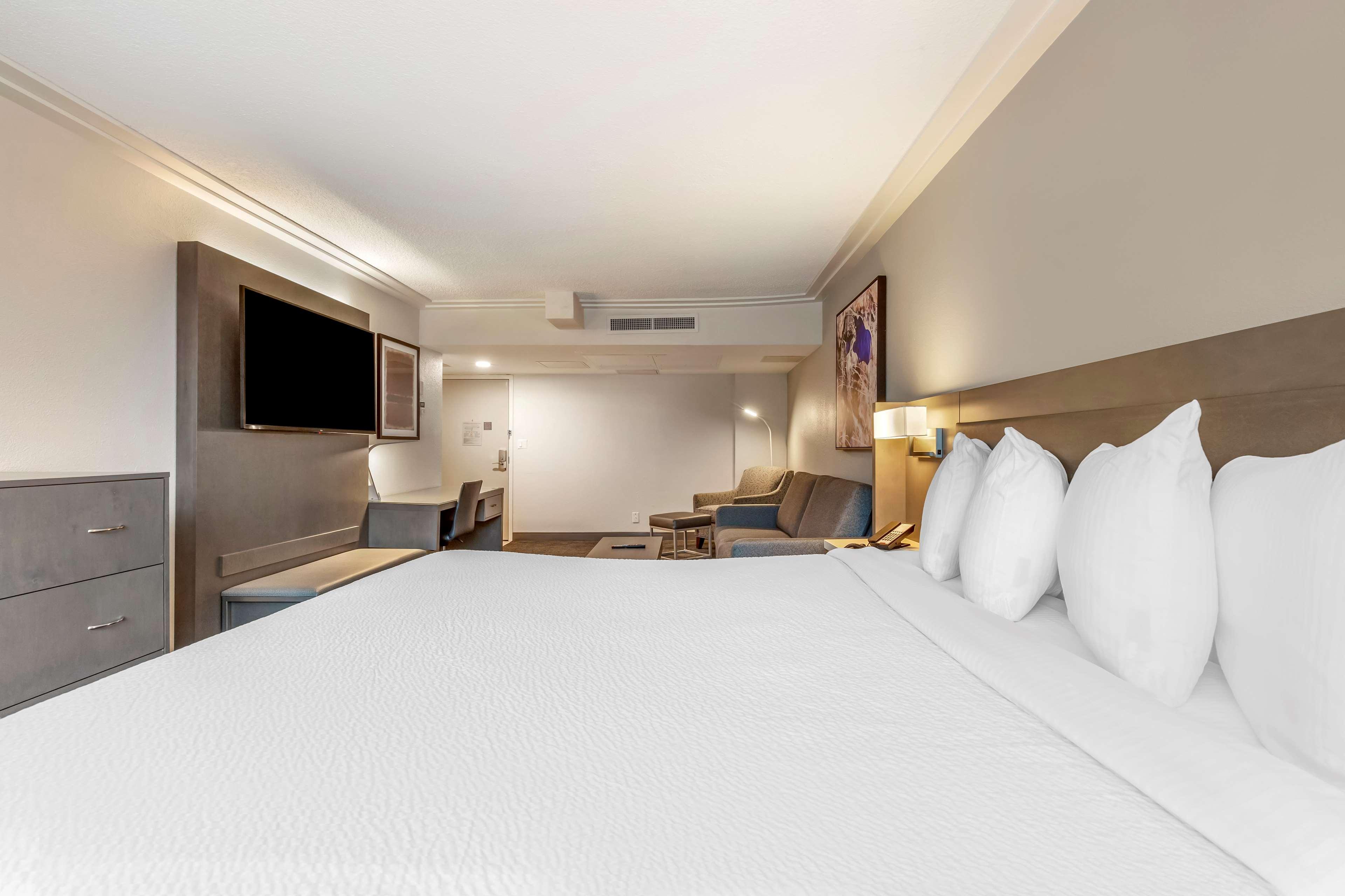 Room, King Bed