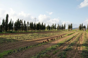Agriturismo Agave Alghero 29/30