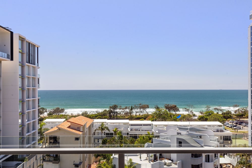 Verve On Cotton Tree 5/50