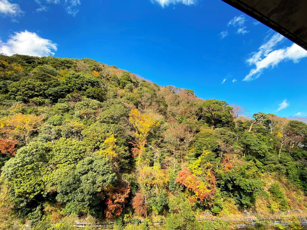 Hakone Pax Yoshino 45/49