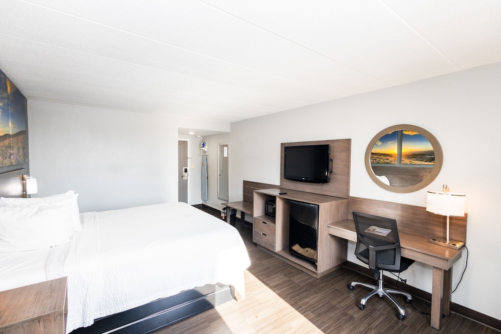 غرفة بسرير كينج للمدخنين