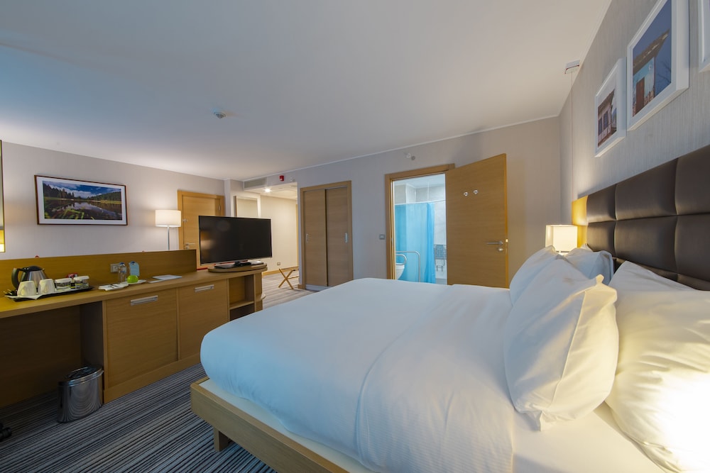 Hilton Garden Inn Safranbolu 30/68
