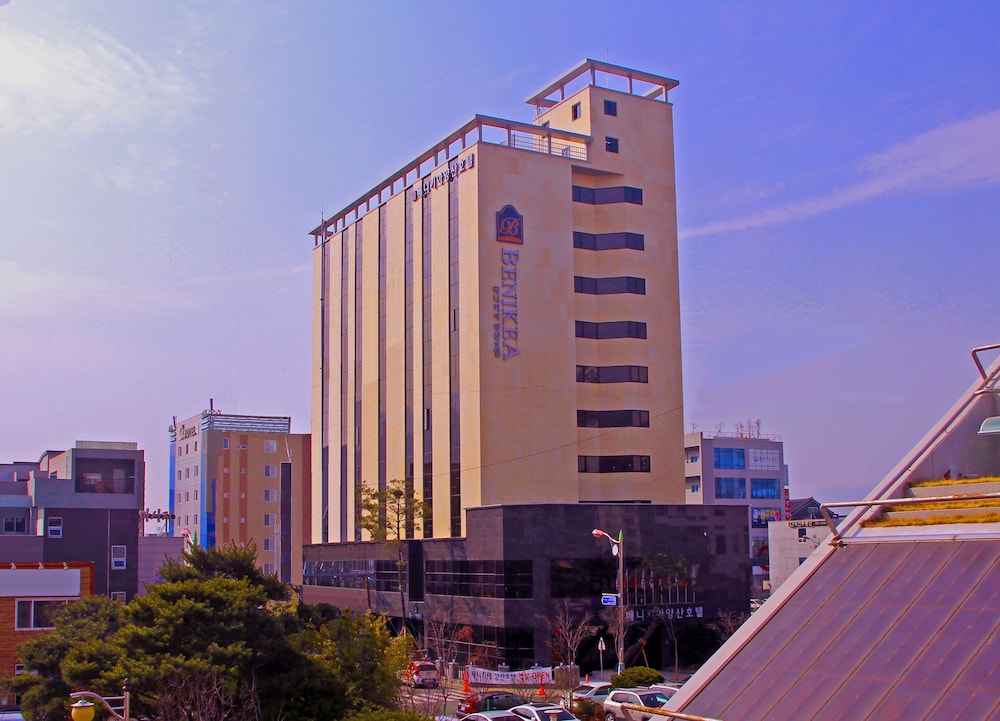 Benikea Yangsan Hotel in YANGSAN