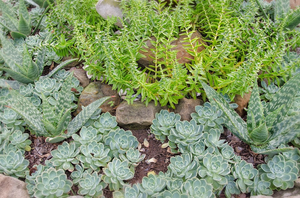 Cornerstone B&B Kroonstad 29/40