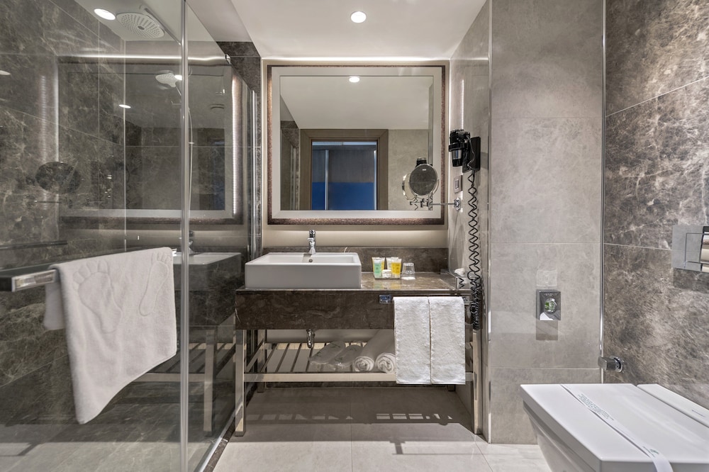 HOLIDAY INN KAYSERI - DUVENONU 24/62