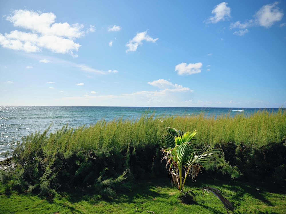 Ocean Spray Beach Apartments 34/50
