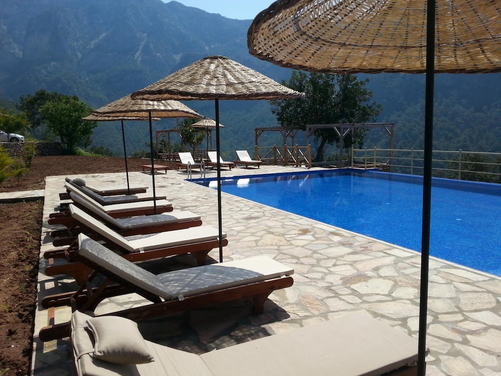 Olive Garden Kabak 23/50