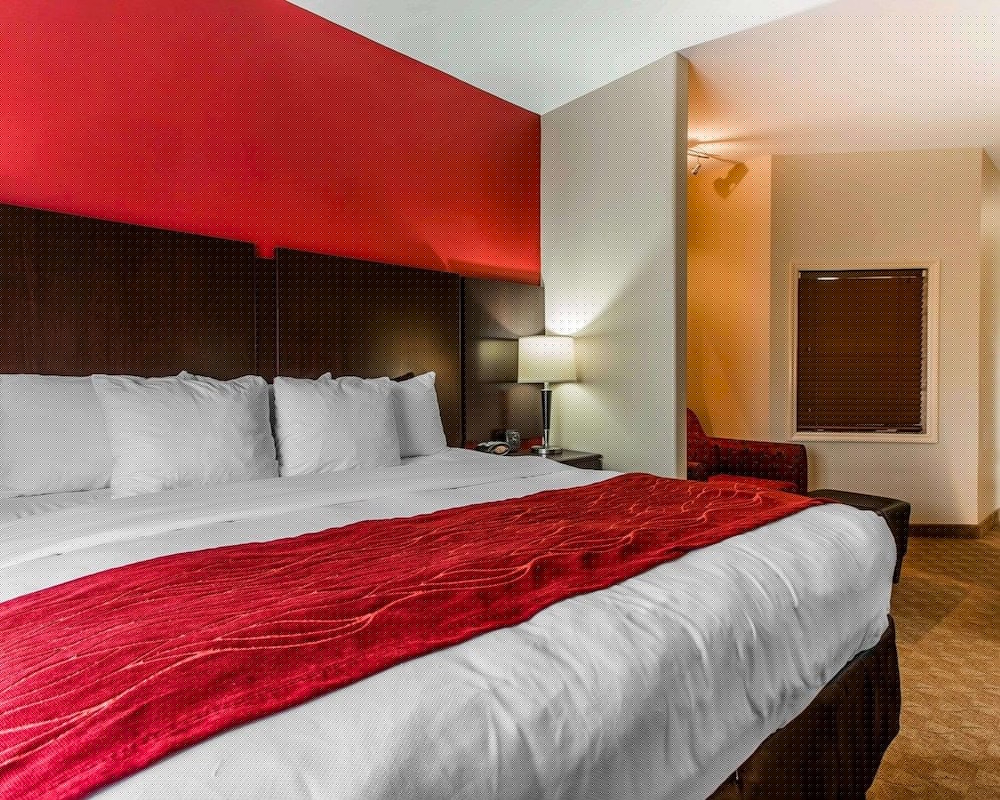 Comfort Suites Stockbridge Atlanta South 9/39