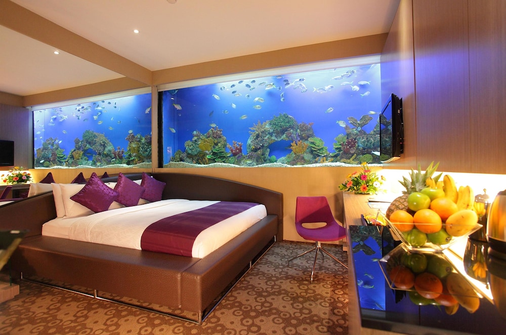 Hotel H2o 41/77