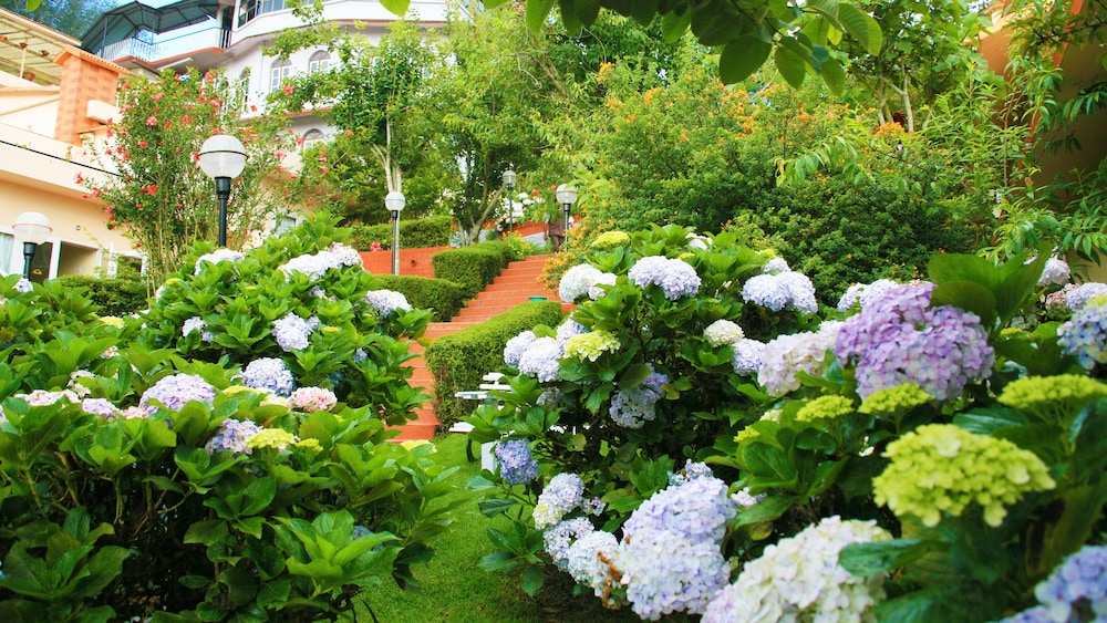 KODAI RESORT HOTEL 27/34