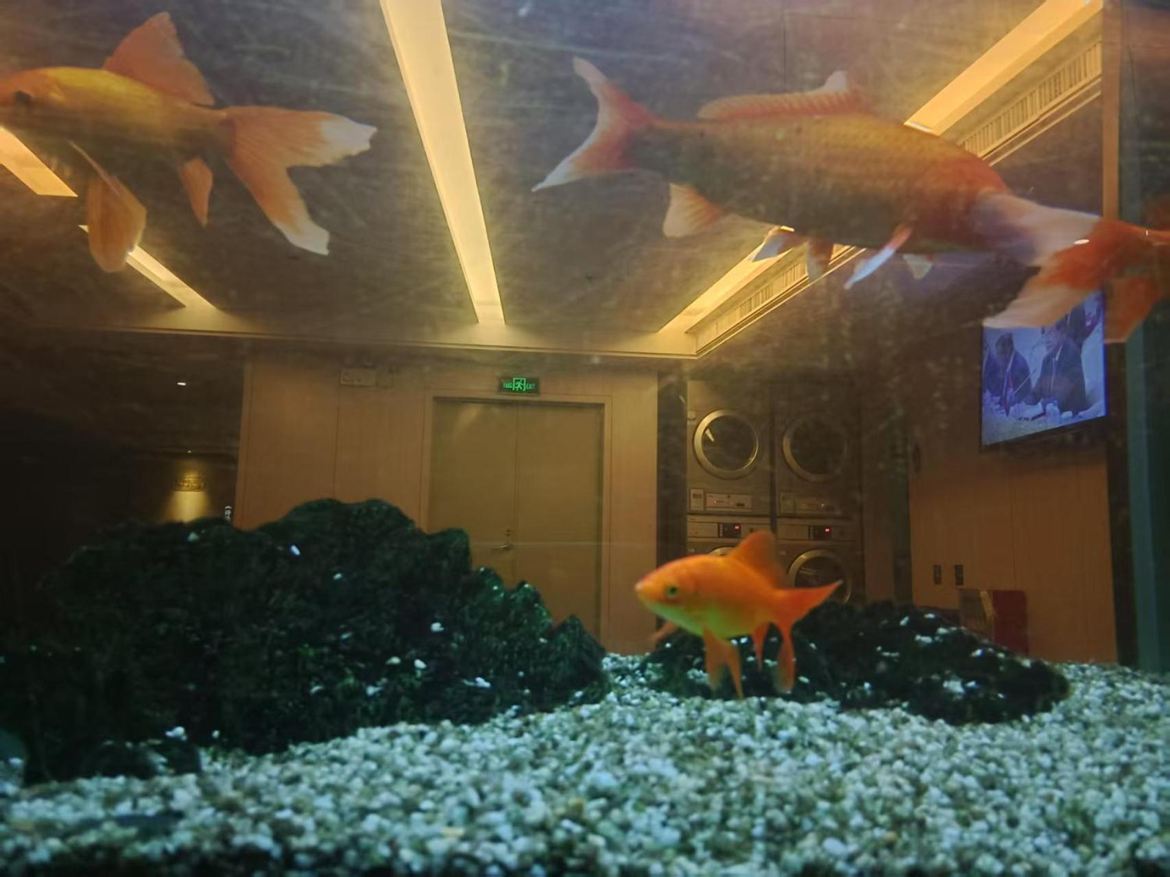 Paco Business Hotel Guangzhou Tianhe Coach Terminal Branch 63/68
