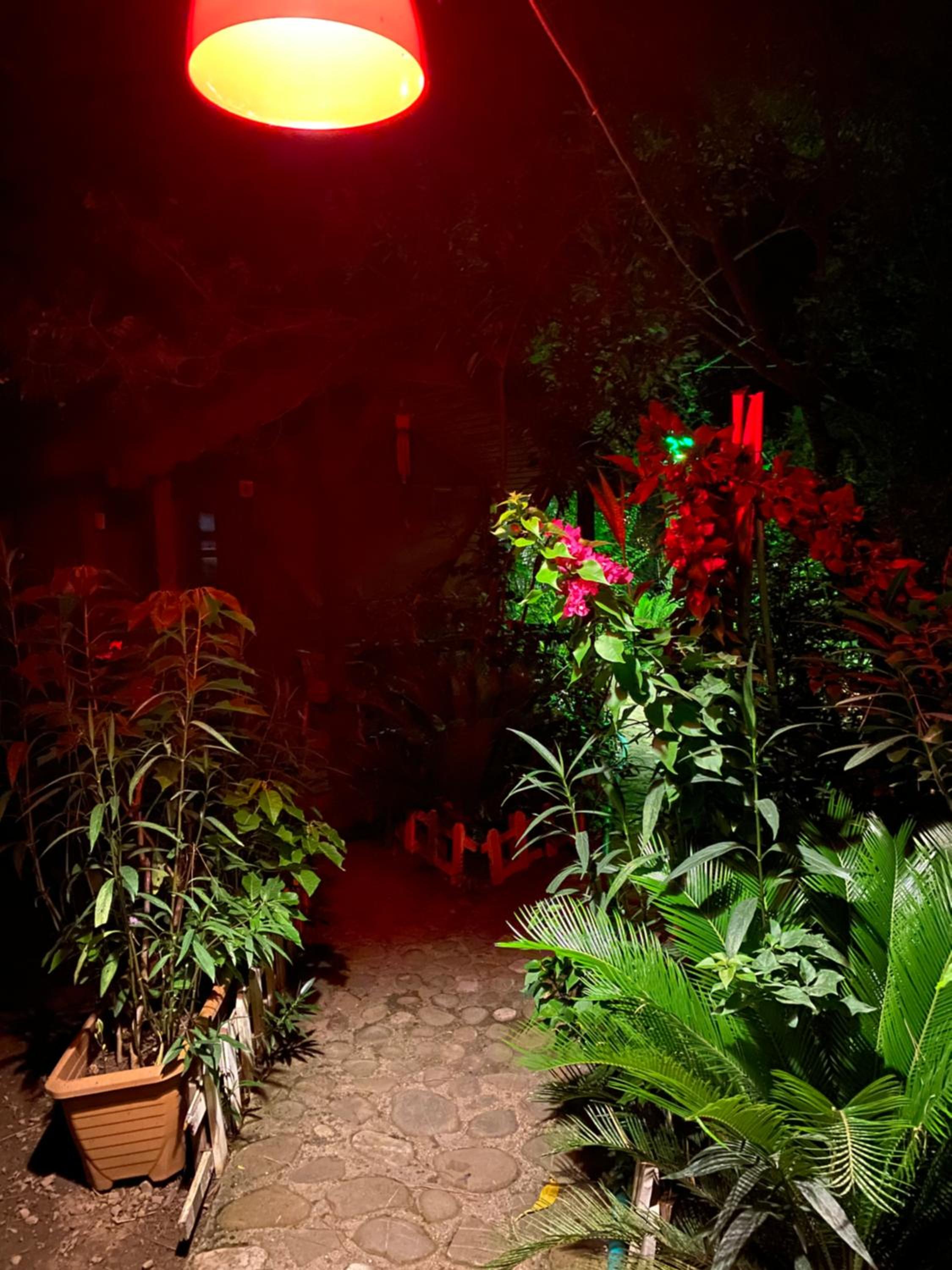 Canario Pension Bungalow 29/50