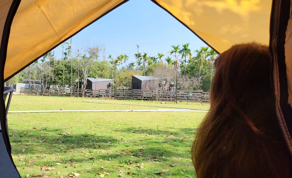 Glamp Wilderness 33/42