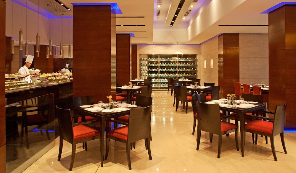 Radisson Blu Plaza Hotel Delhi Airport 57/76