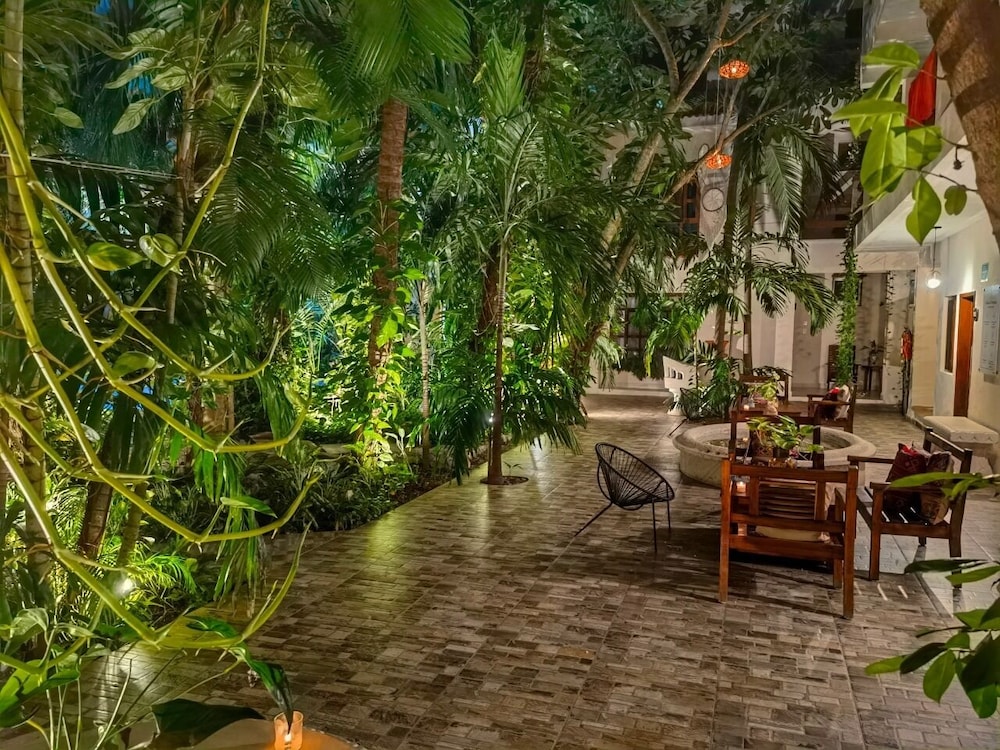 Hulku Playa Del Carmen 55/73