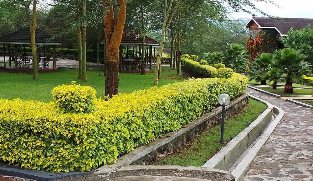 Elementaita Country Lodge 52/67