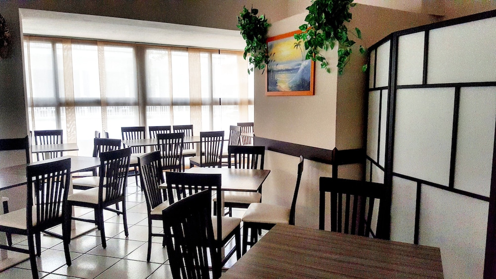 Hotel Senyor 42/50