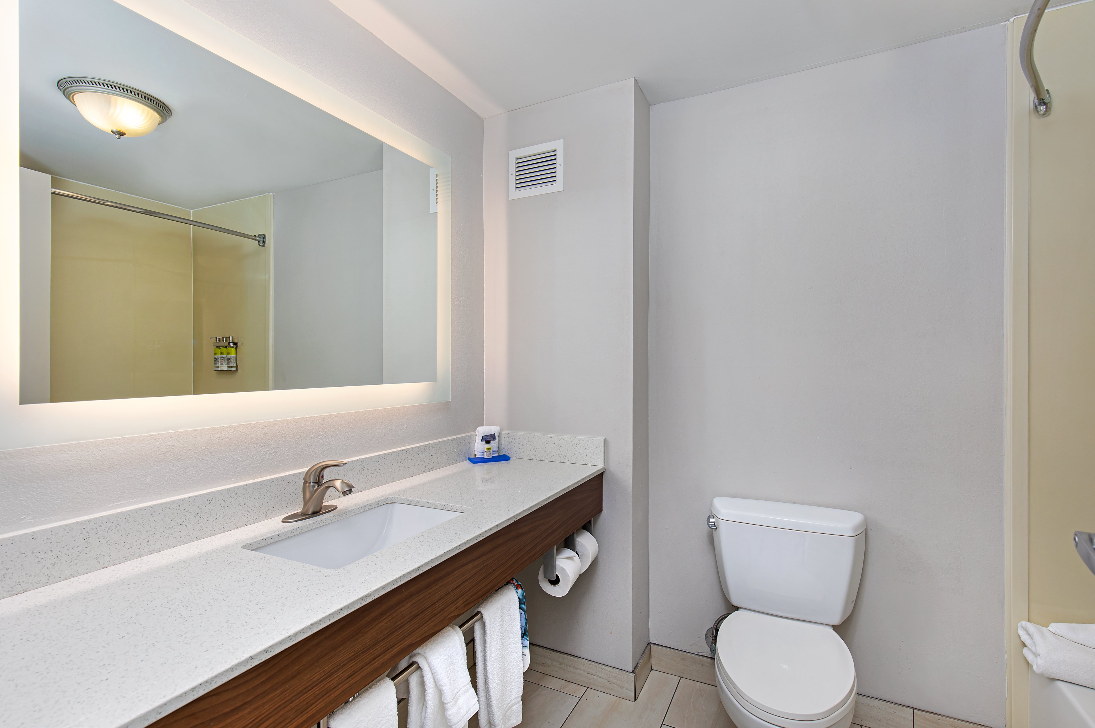 غرفة قياسية، Holiday Inn Express Hotel and Suites Mt. Juliet-Nashville Area 8/8
