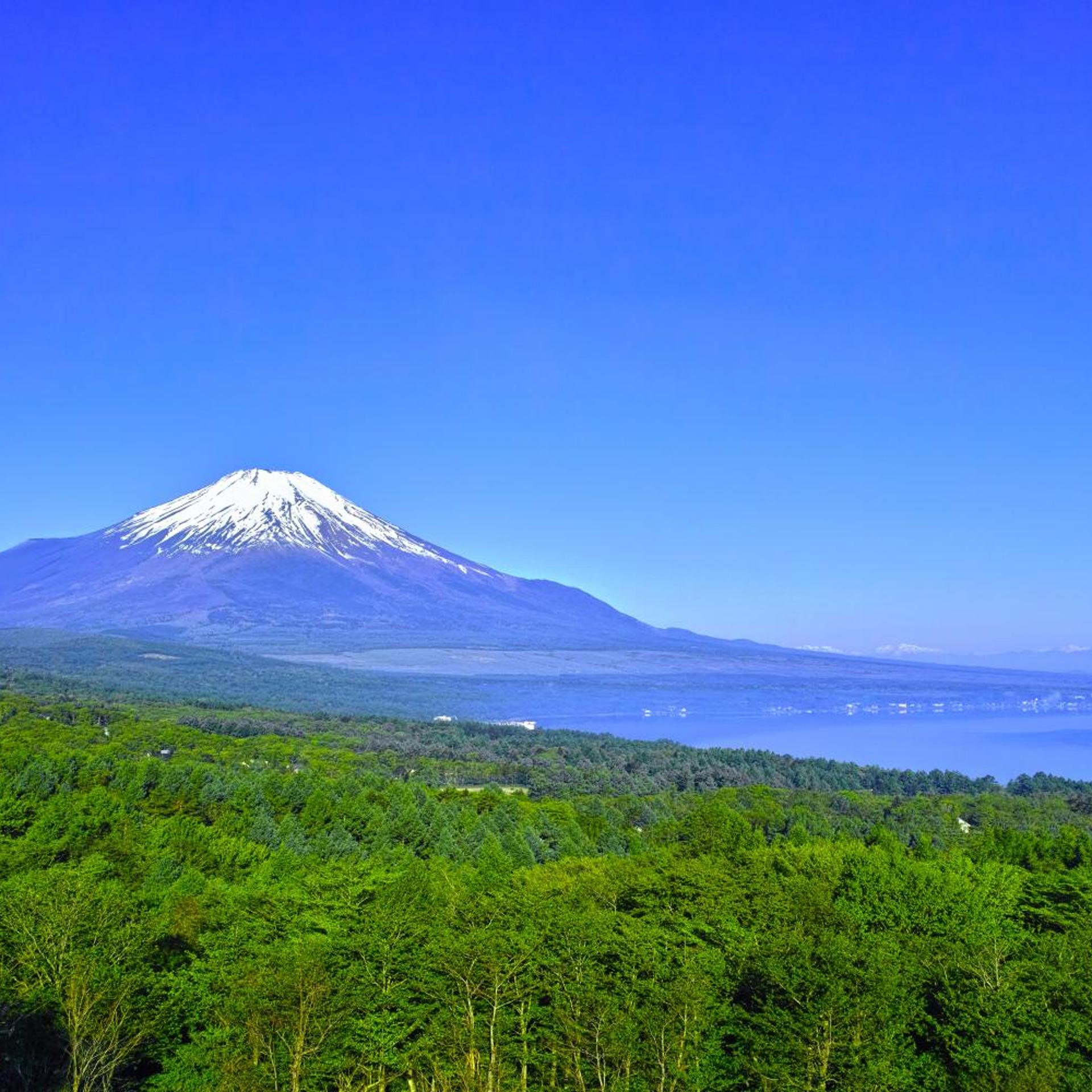 Fuji Yamanakako Hotel 13/16