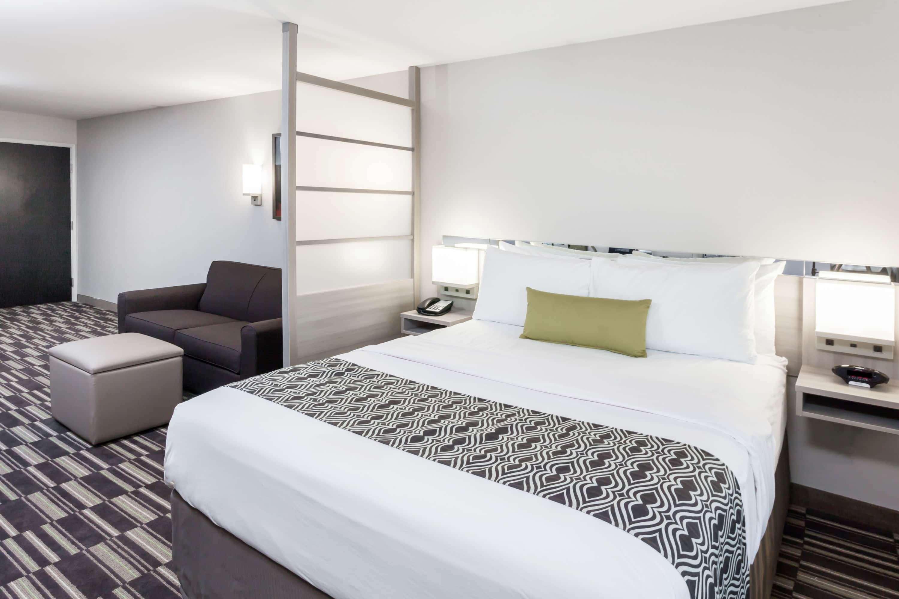 Suite, Queen Bed