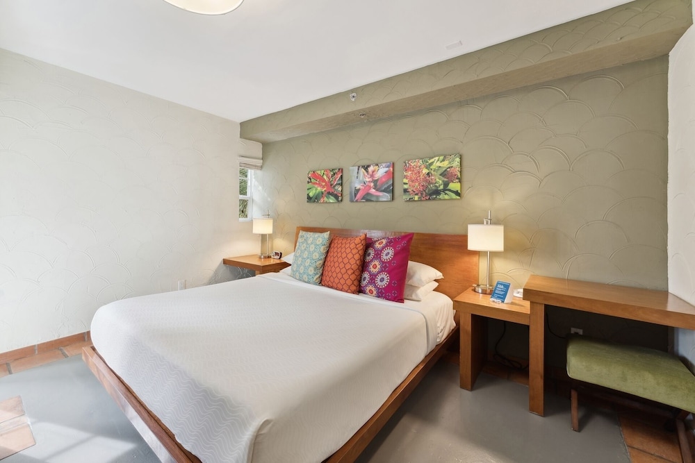 1 Bedroom, King Bed