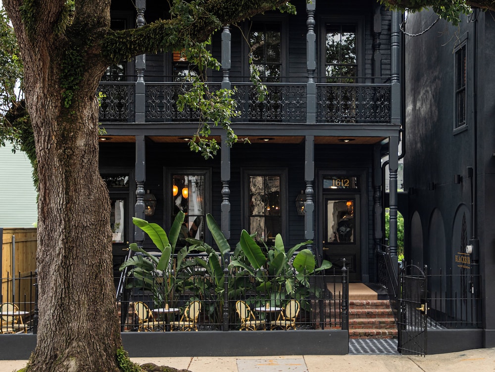 The Blackbird Hotel 3/47