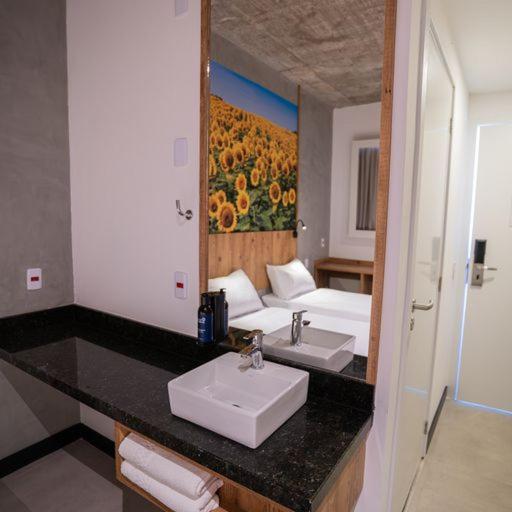Campos de Holambra Inn 47/50