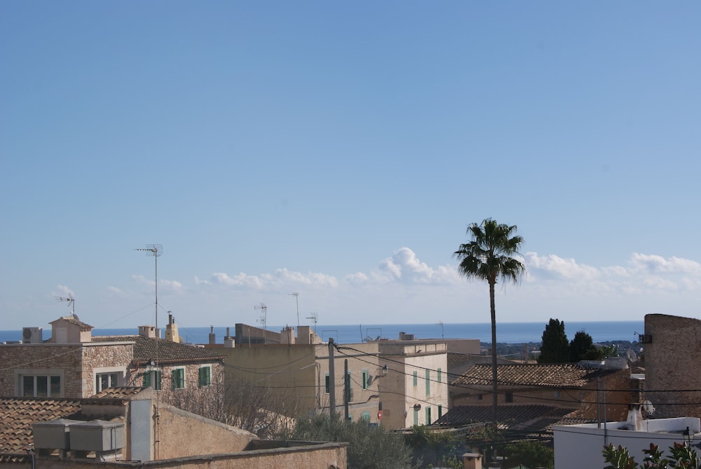 Petit Sant Miquel 39/50
