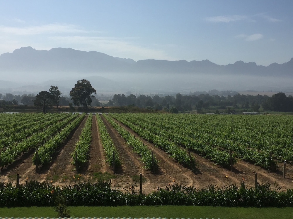 Cana Vineyard Guesthouse 59/76