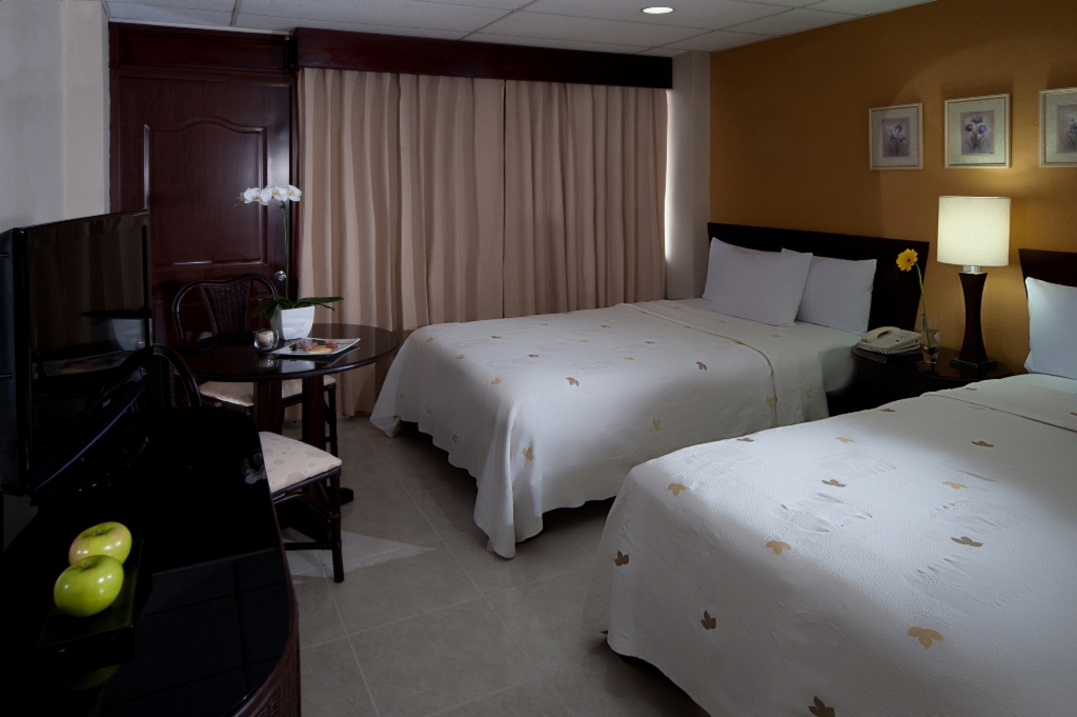 Executive Superior 1 Bed