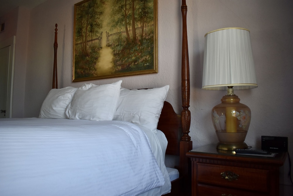 The DeLand Hotel 26/47