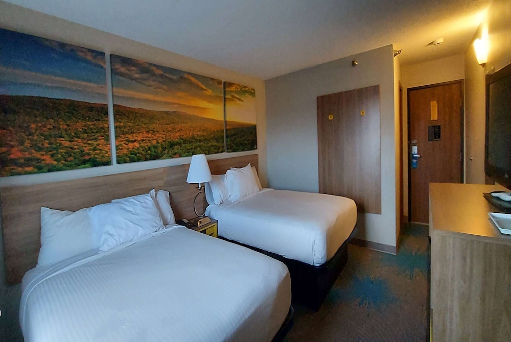 Room, 2 Queen Beds, Pet Friendly