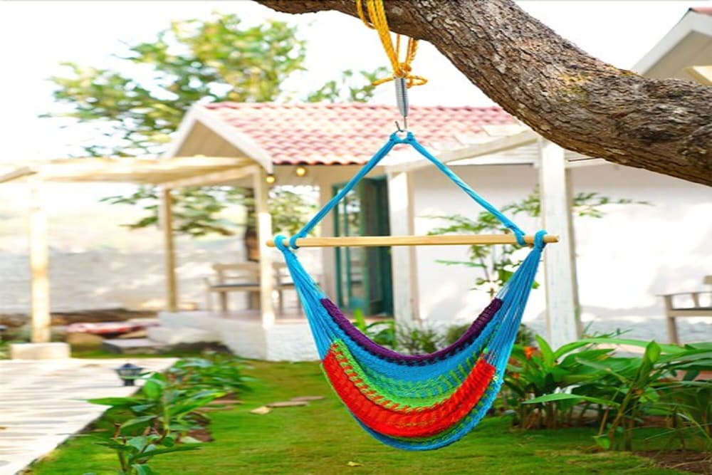 Blu Resorts 12/24