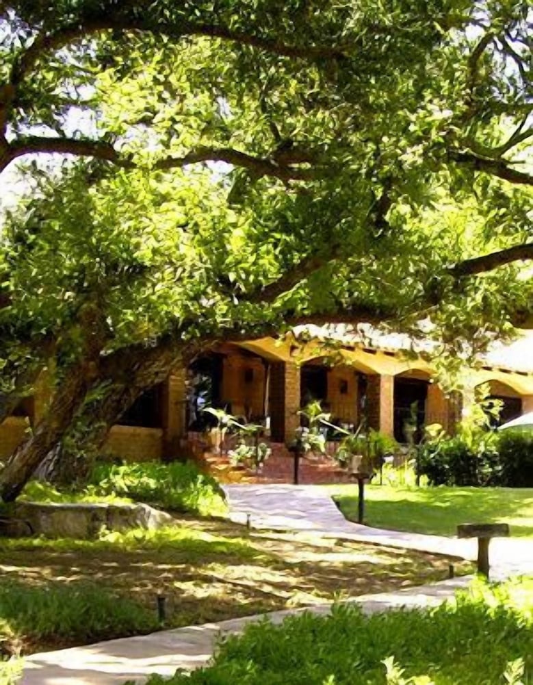 Vineyard Hacienda 39/50