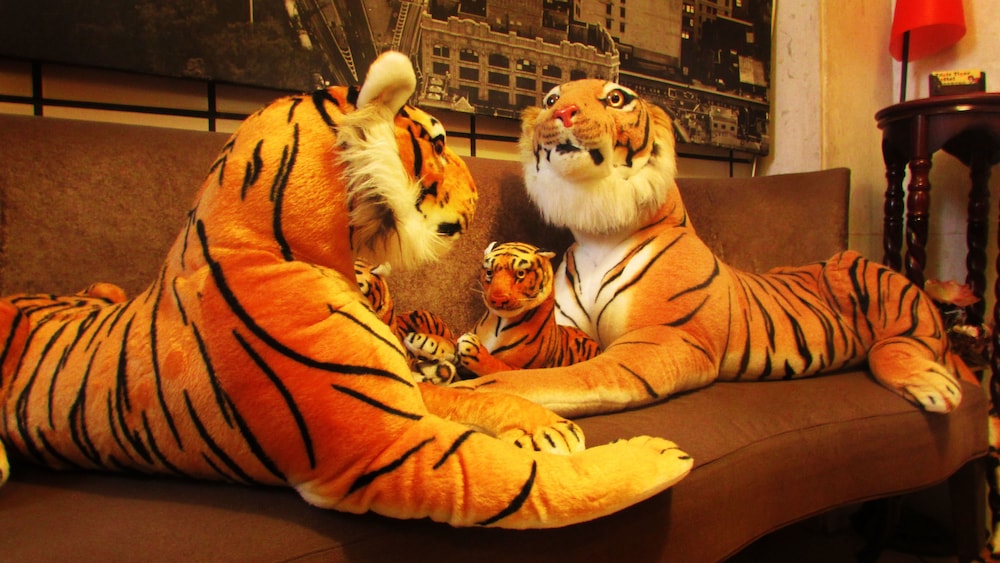 Ximen Triple Tiger Hostel 24/50