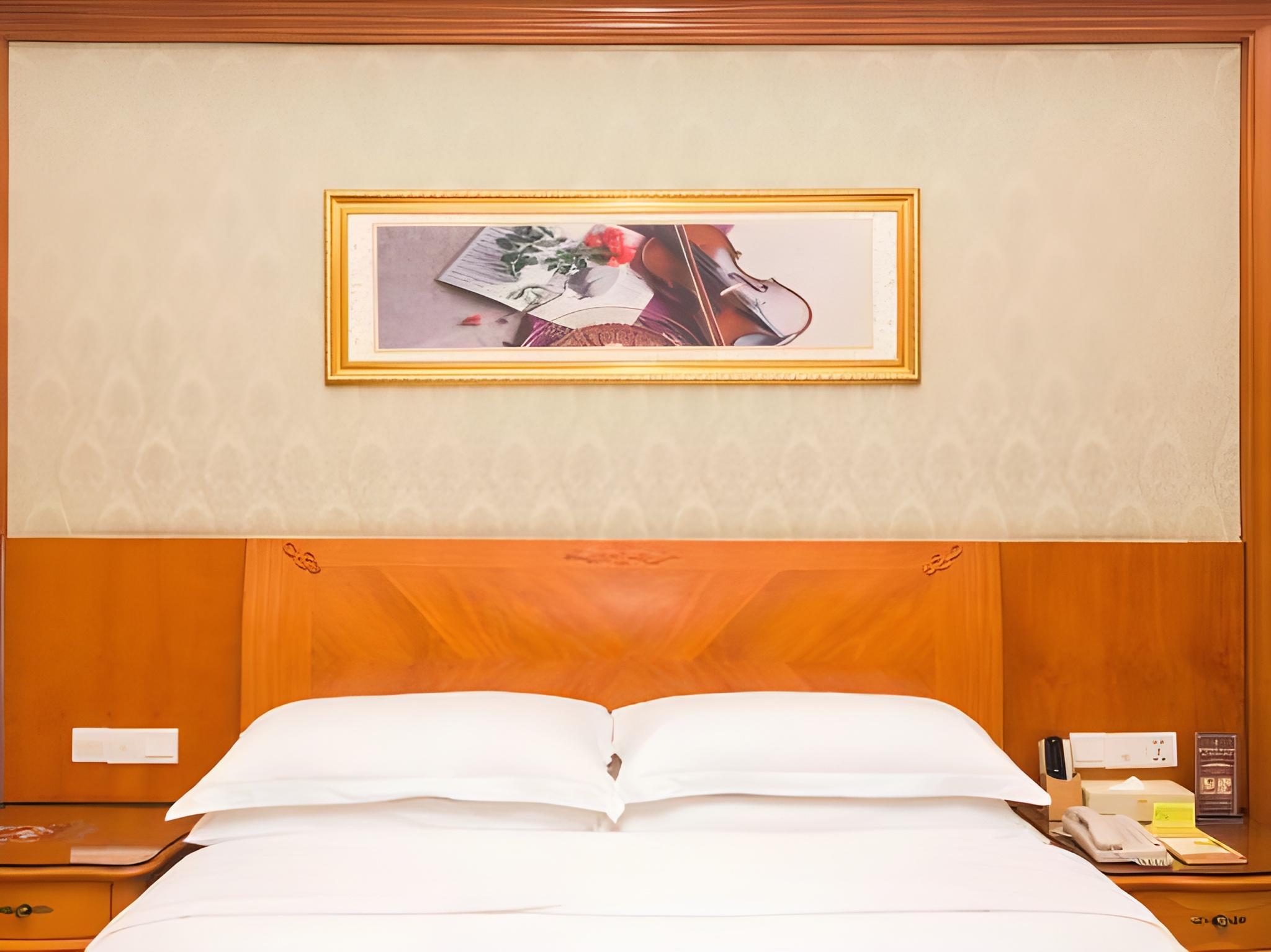 Vienna Hotel (Shantou Chaoyang High-Speed Railway Station) 18/51