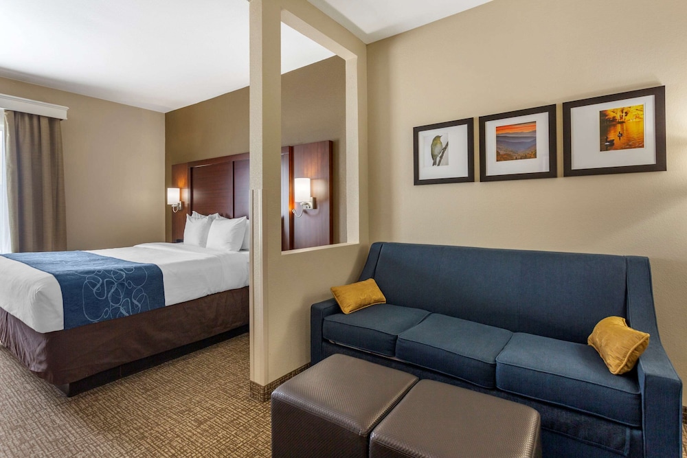 Comfort Suites Goodlettsville Rivergate 13/40
