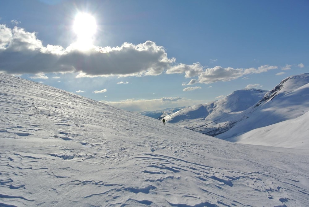 Stryn 28/35