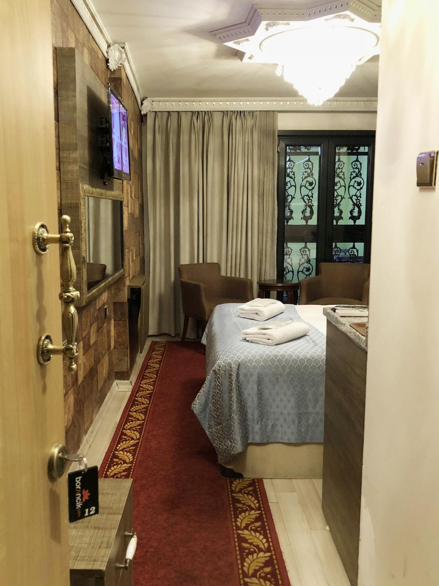 Borancik Suites 11/100