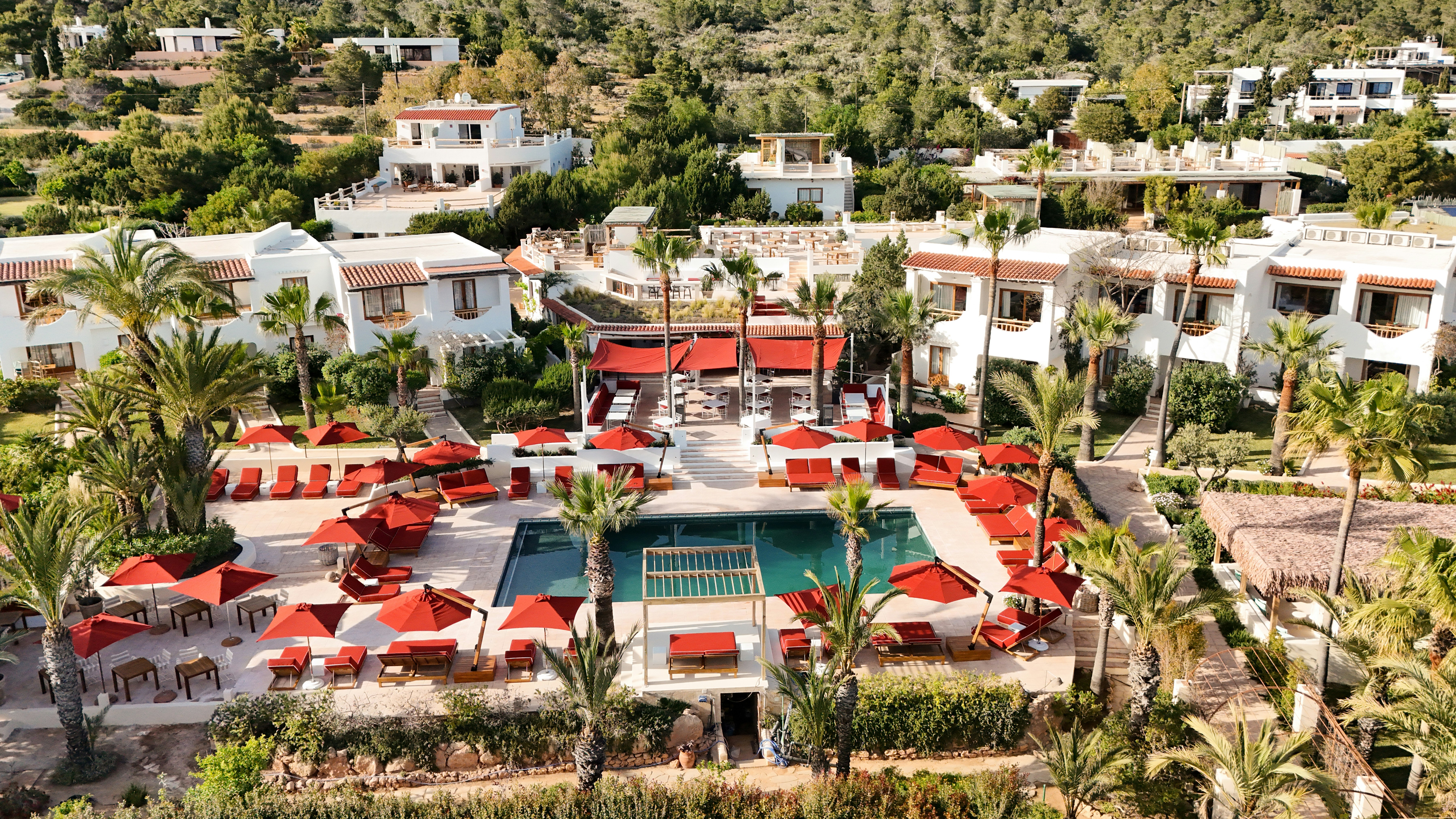 Petunia Hotel Ibiza 6/50
