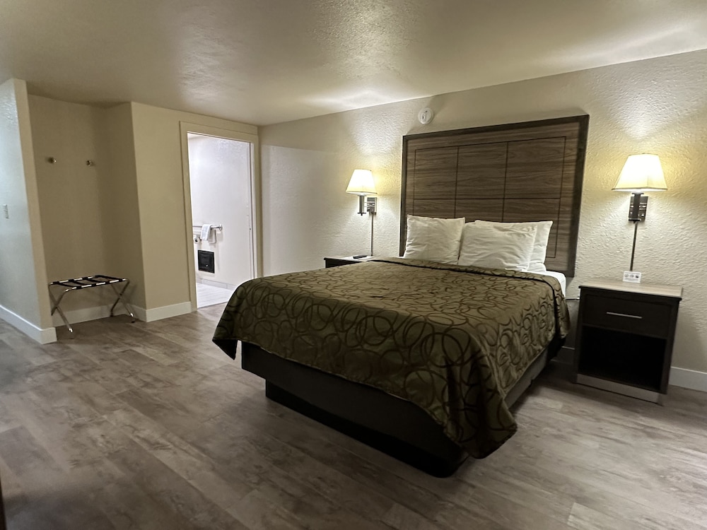 Motel In The Pines 12/41