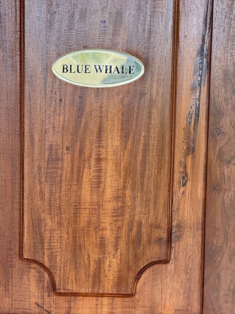 Villa White Queen 26/50