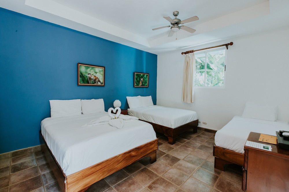Hotel La Posada And Jungle 32/74