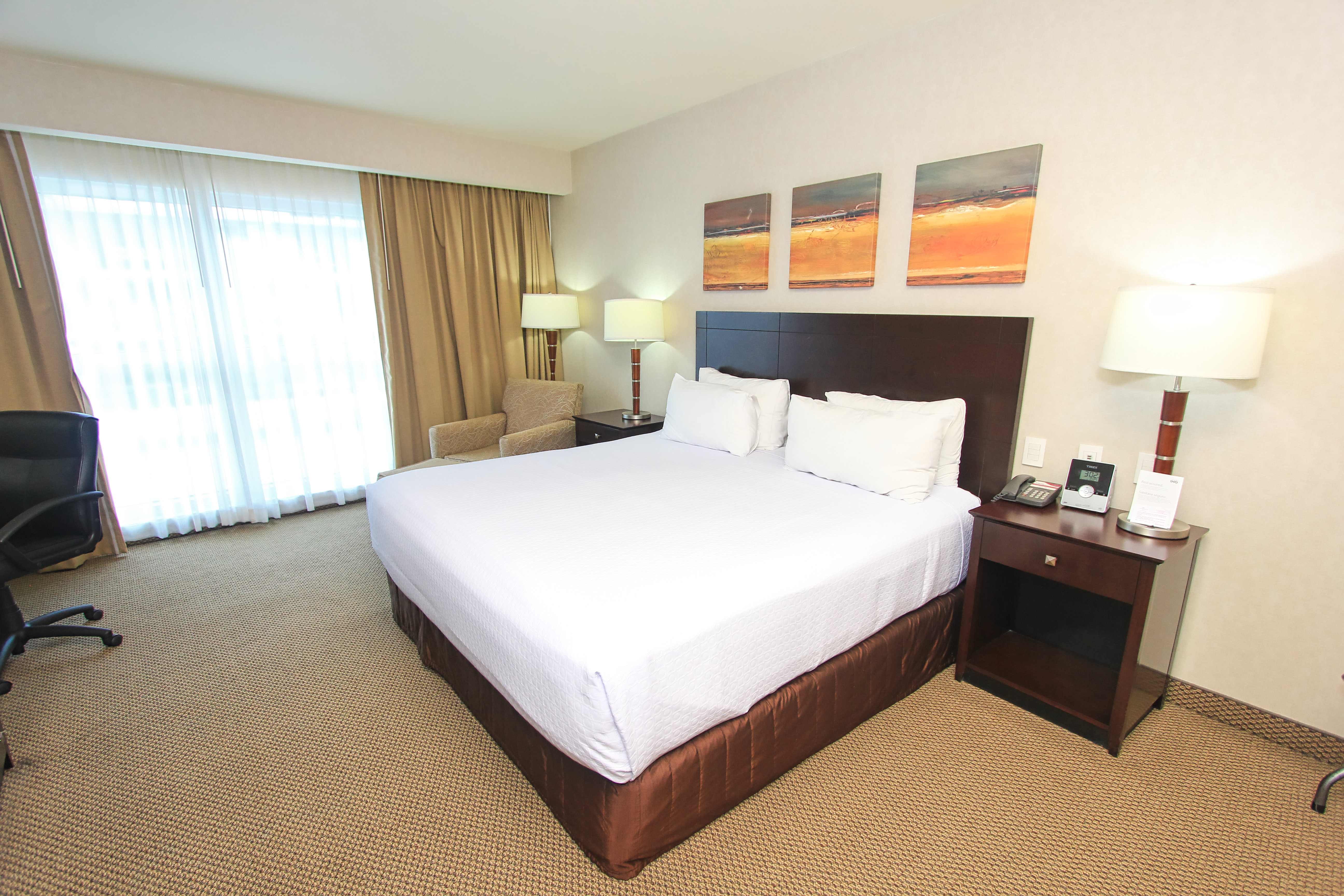 Crowne Plaza Leon 15/50