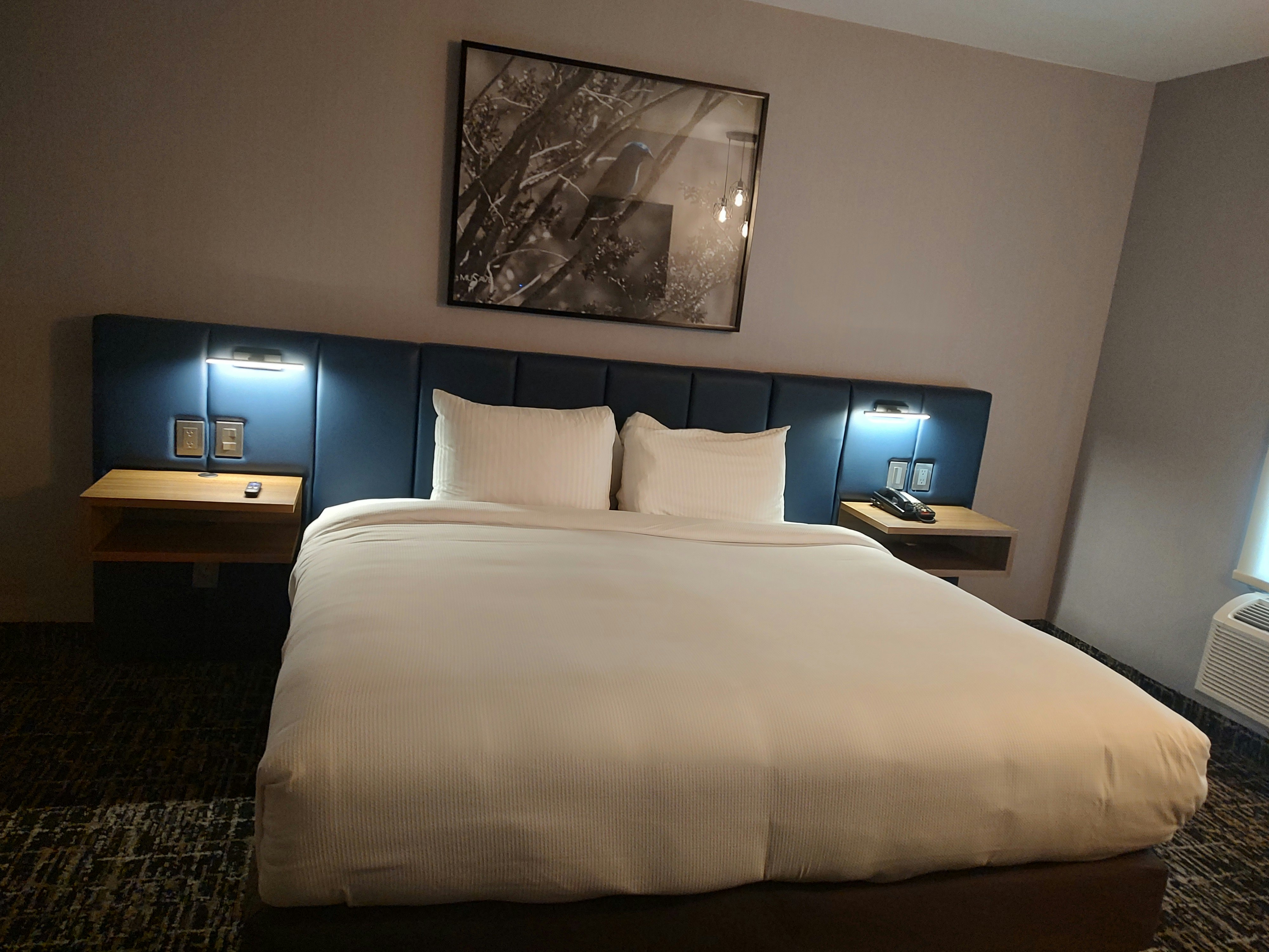 voco Saltillo Suites, an IHG Hotel 12/50