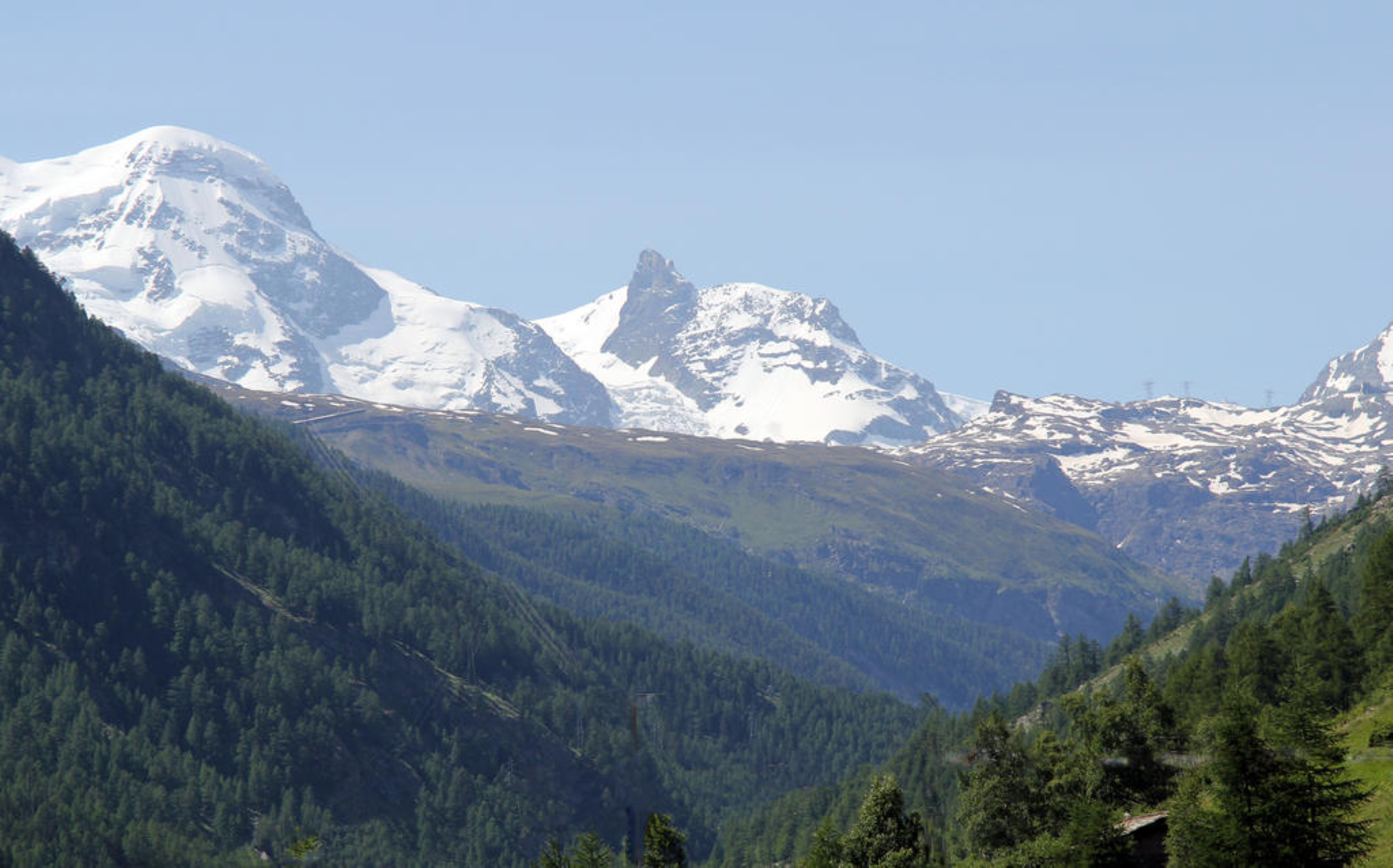 Alpine Standard by Tascherhof 56/63