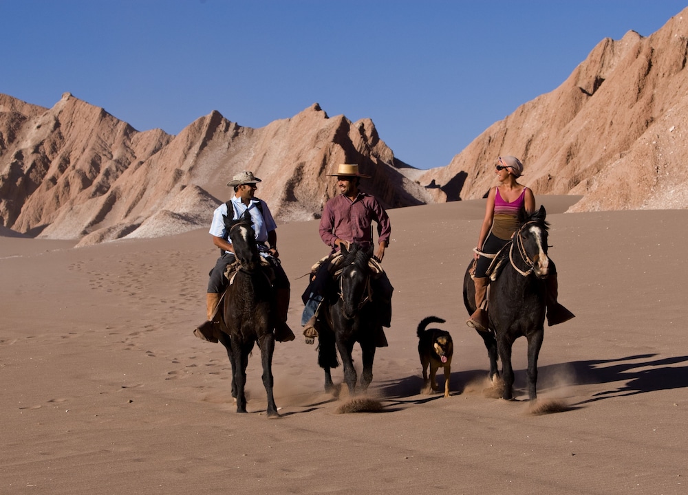 Tierra Atacama 39/50